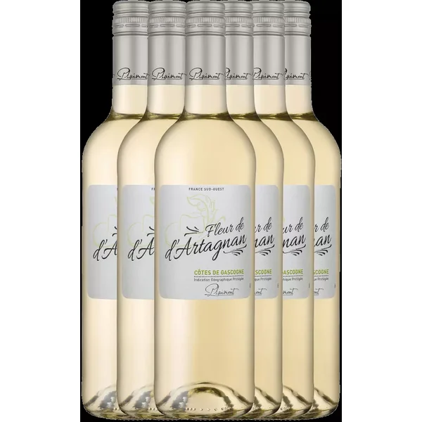 6er Vorteils-Weinpaket - Fleur de d'Artagnan Blanc - Plaimont
